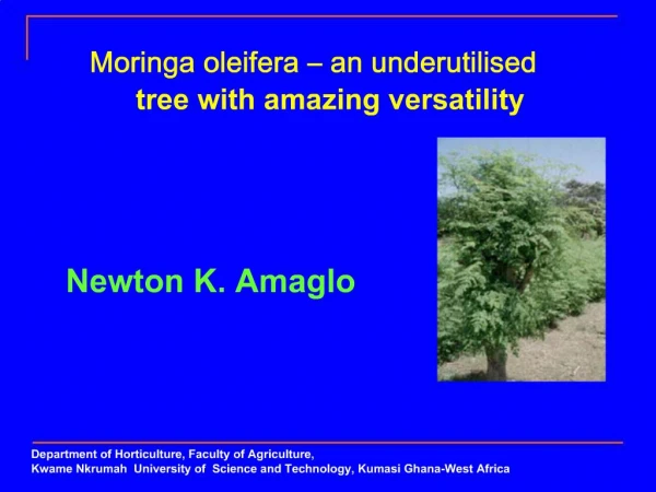 Moringa oleifera an underutilised tree with amazing versatility
