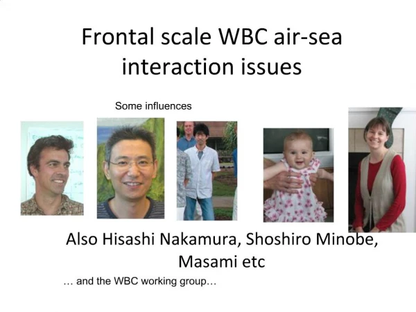 Frontal scale WBC air-sea interaction issues