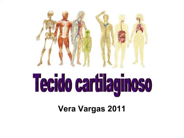 Vera Vargas 2011