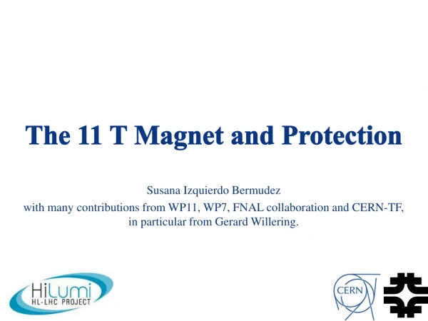 The 11 T Magnet and Protection