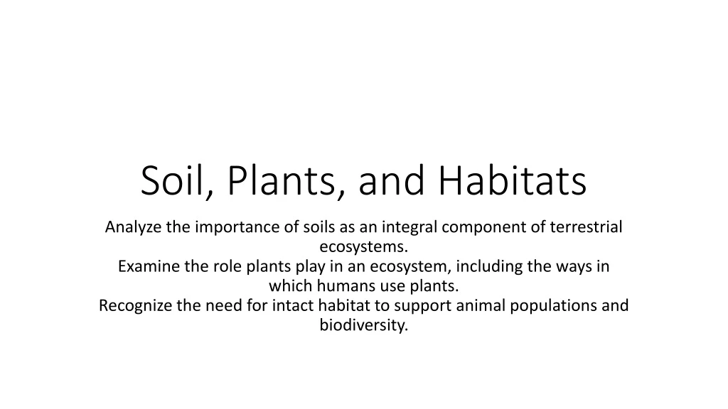soil plants and habitats
