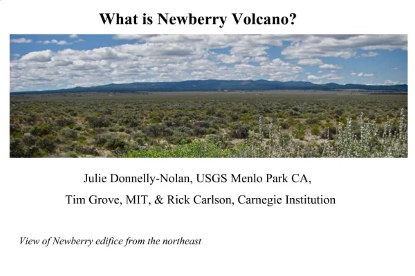 What is Newberry Volcano