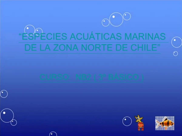 ESPECIES ACU TICAS MARINAS DE LA ZONA NORTE DE CHILE