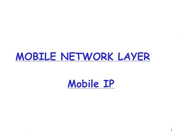 MOBILE NETWORK LAYER