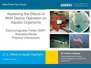 Water Power Peer Review - slide 1
