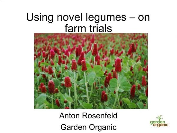 Using novel legumes on farm trials