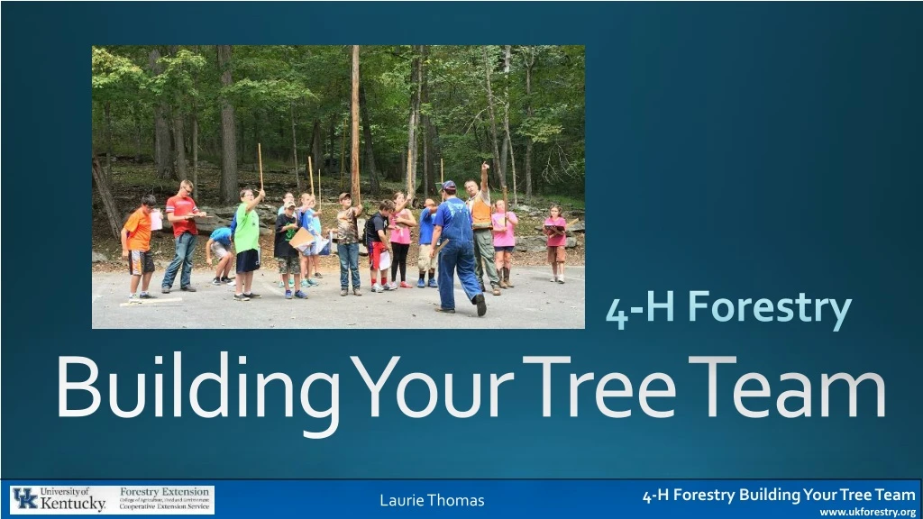 4 h forestry
