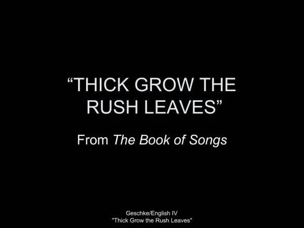 THICK GROW THE RUSH LEAVES