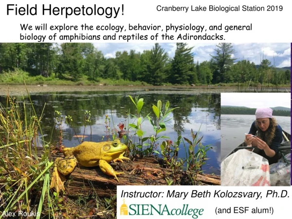 Field Herpetology!