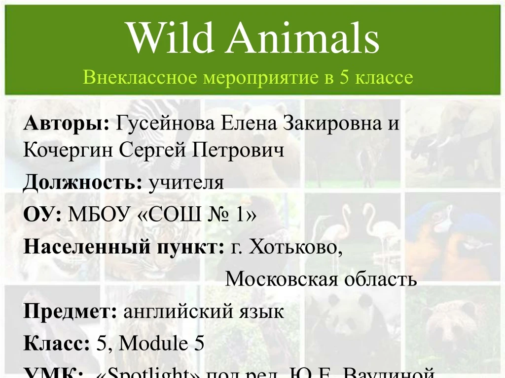 PPT - Wild Animals PowerPoint Presentation, Free Download - ID:419688