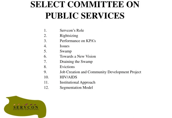 SELECT COMMITTEE ON PUBLIC SERVICES
