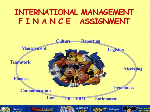The Finance Assignment