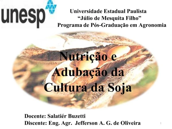 Universidade Estadual Paulista J lio de Mesquita Filho Programa de P s-Gradua o em Agronomia