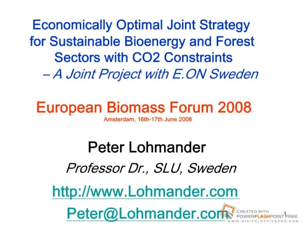 Economically Optimal Joint Strategy for Sustainable Bioenergy and Forest Sectors with CO2 Constraints