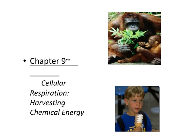 Chapter 9~			 Cellular Respiration: Harvesting Chemical Energy