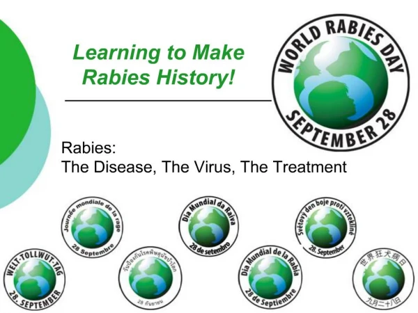 Learning to Make Rabies History