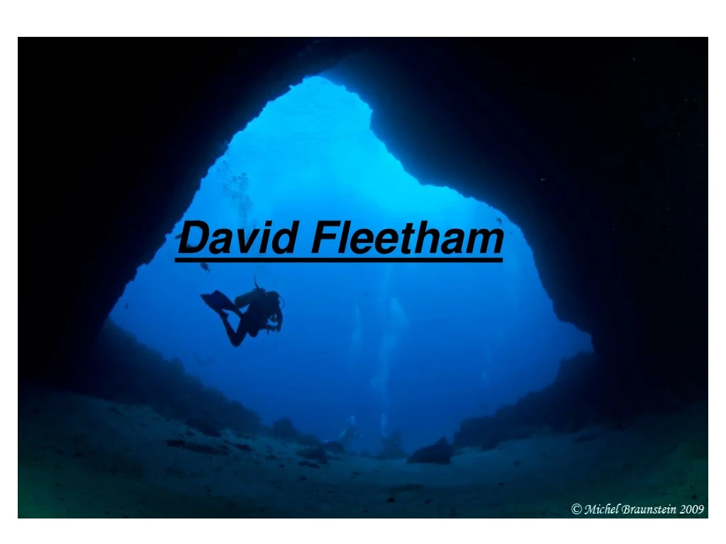 david fleetham