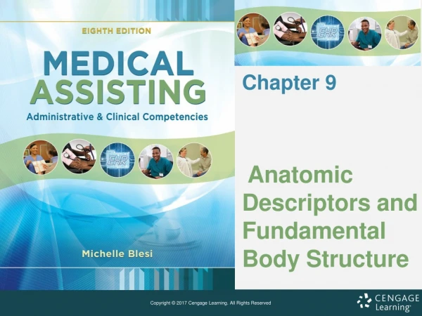 Anatomic Descriptors and Fundamental Body Structure