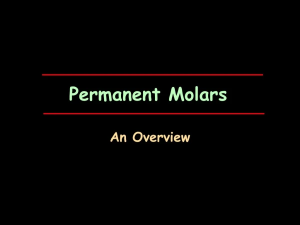 Permanent Molars