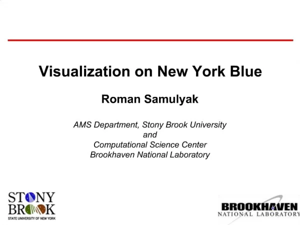 Visualization on New York Blue Roman Samulyak AMS Department, Stony Brook University and Computational Science Center