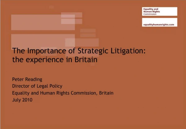 The Importance of Strategic Litigation: the experience in Britain
