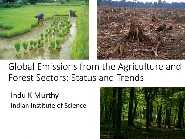 Global Emissions from the Agriculture and Forest Sectors: Status and Trends