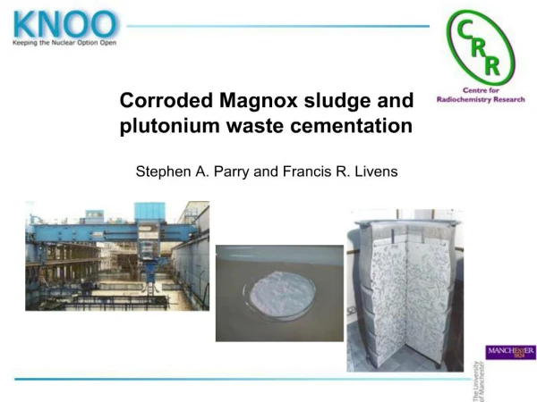 Corroded Magnox sludge and plutonium waste cementation Stephen A. Parry and Francis R. Livens