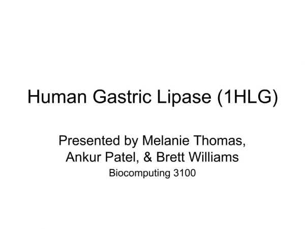 Human Gastric Lipase 1HLG