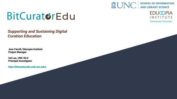 Supporting and Sustaining Digital Curation Education