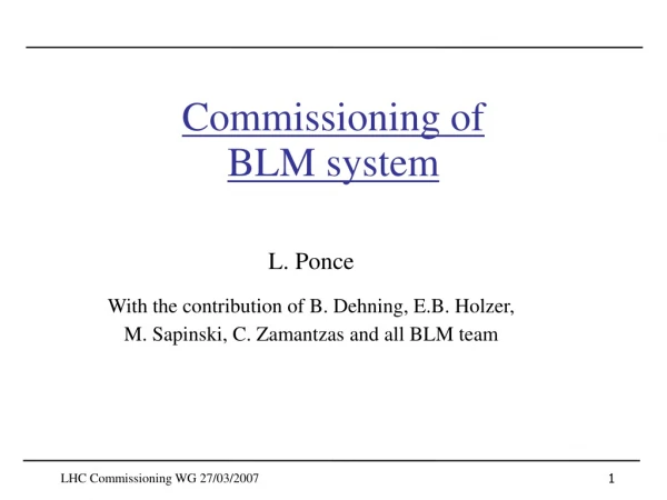 Commissioning of BLM system