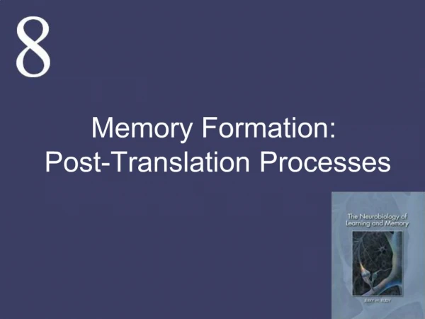 Memory Formation: Post-Translation Processes