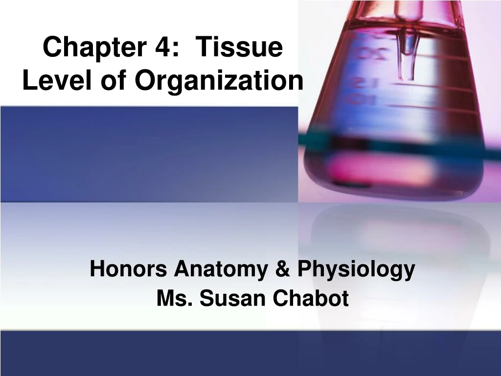 chapter 4 tissue level of organization
