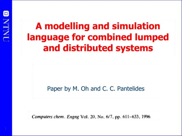 A modelling and simulation language for combined lumped and distributed systems