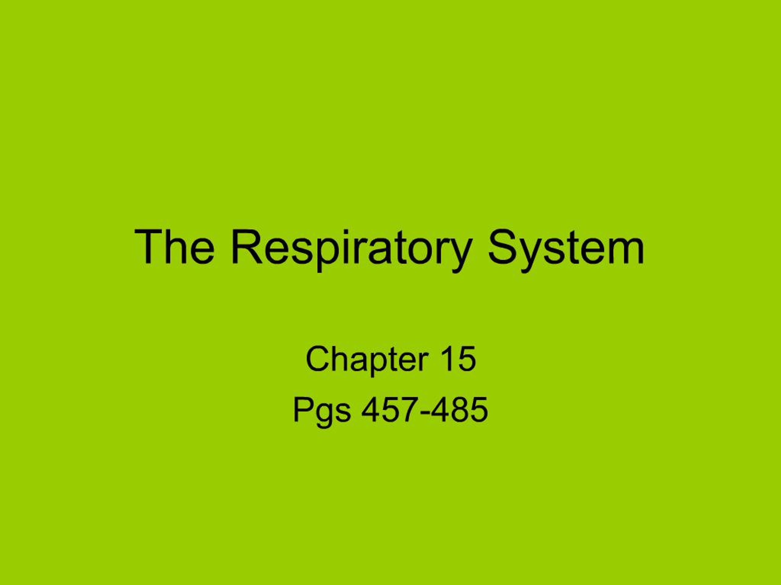 PPT - The Respiratory System PowerPoint Presentation, free download ...