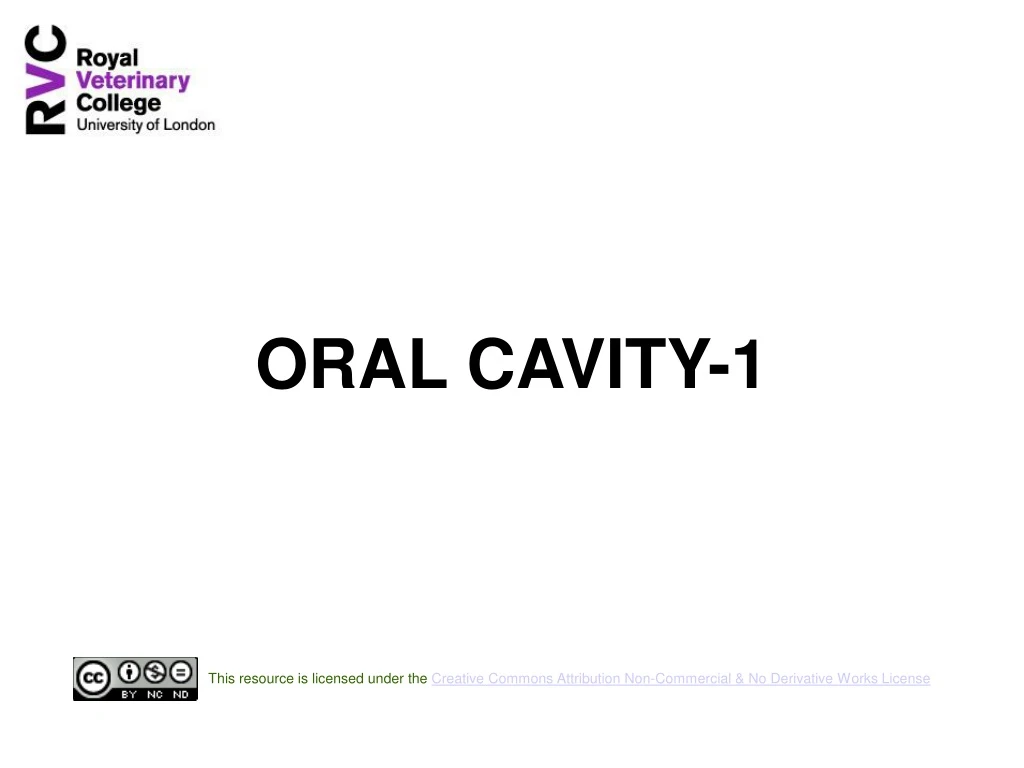 oral cavity 1