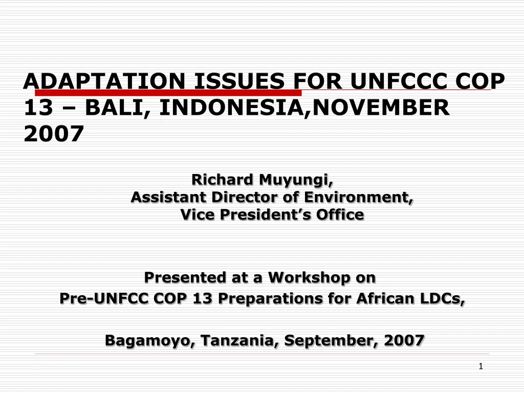 adaptation issues for unfccc cop 13 bali indonesia november 2007
