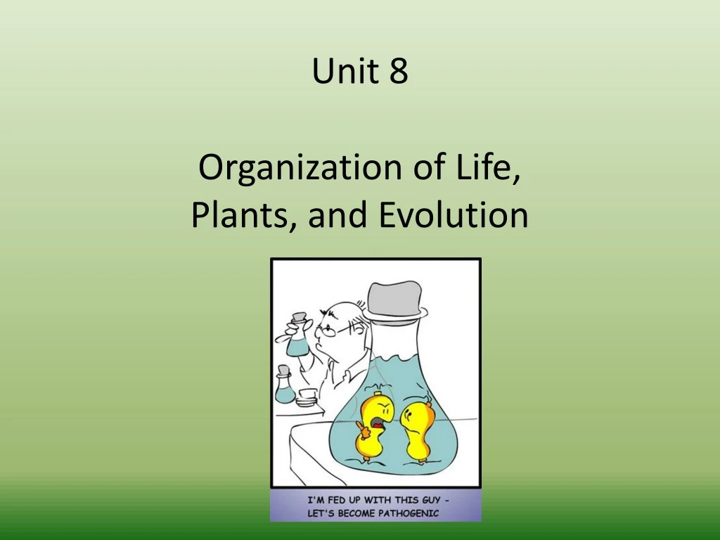 unit 8 organization of life plants and evolution