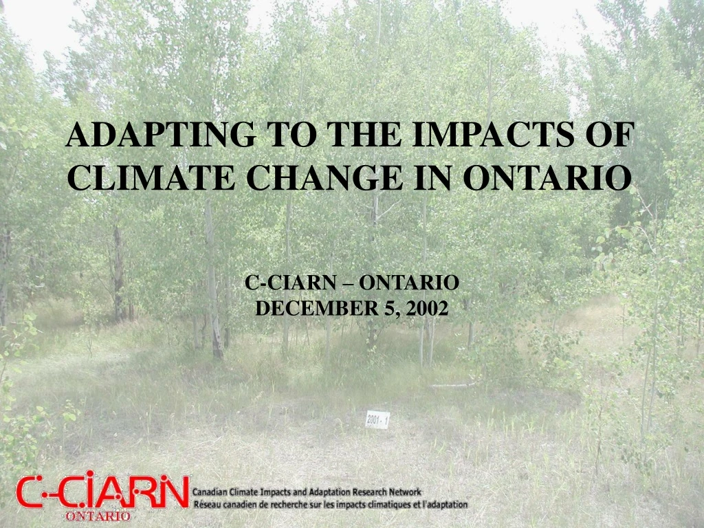 adapting to the impacts of climate change