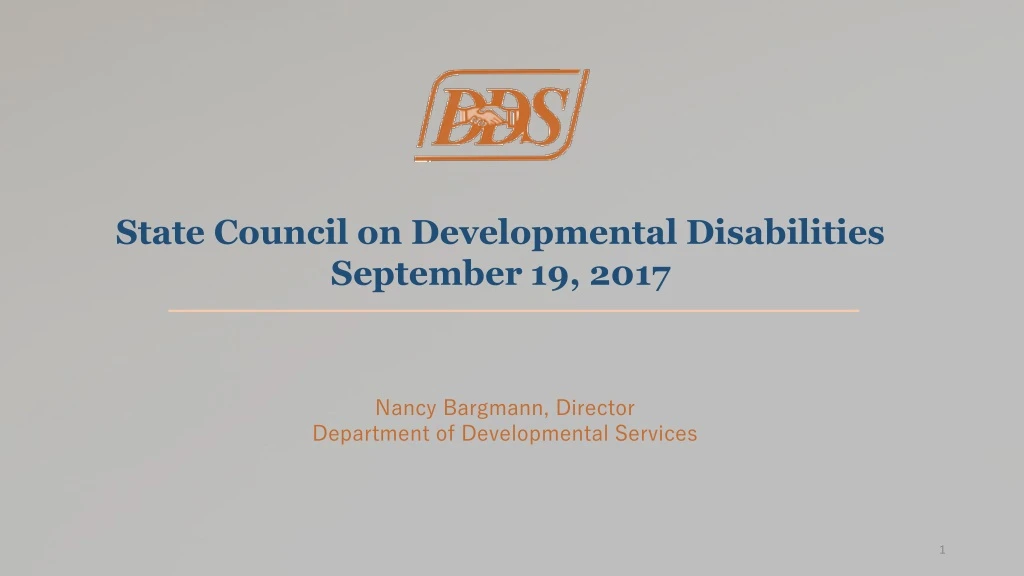 state council on developmental disabilities