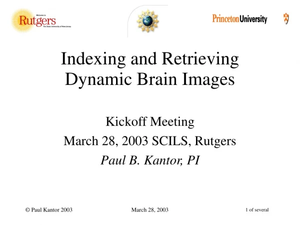 Indexing and Retrieving Dynamic Brain Images