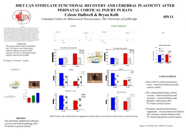 DIET CAN STIMULATE FUNCTIONAL RECOVERY AND CEREBRAL PLASTICITY AFTER PERINATAL CORTICAL INJURY IN RATS Celeste Halliwel