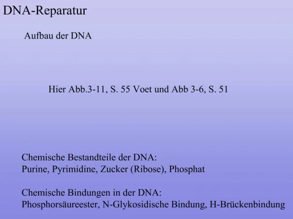 DNA-Reparatur
