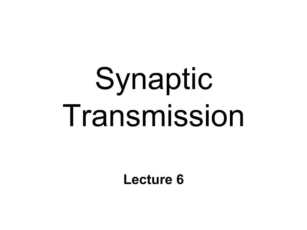 PPT - Synaptic Transmission PowerPoint Presentation, free download - ID ...