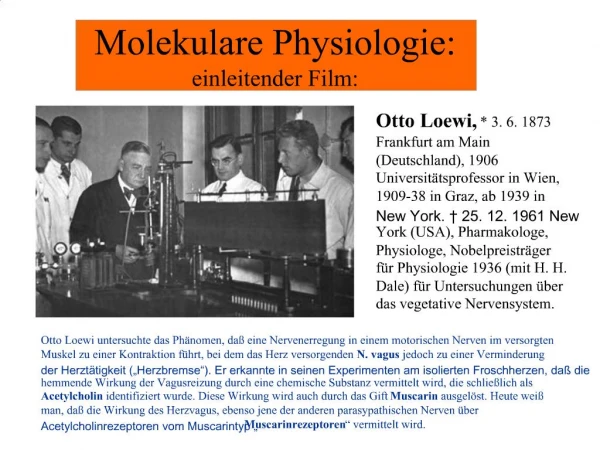 Molekulare Physiologie: einleitender Film: