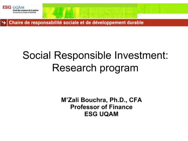Social Responsible Investment: Research program