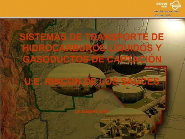 SISTEMAS DE TRANSPORTE DE HIDROCARBUROS L QUIDOS Y GASODUCTOS DE CAPTACI N U.E. RINCON DE LOS SAUCES DICIEMBRE 2005