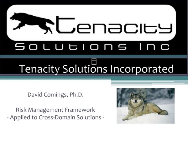 Tenacity Solutions Incorporated