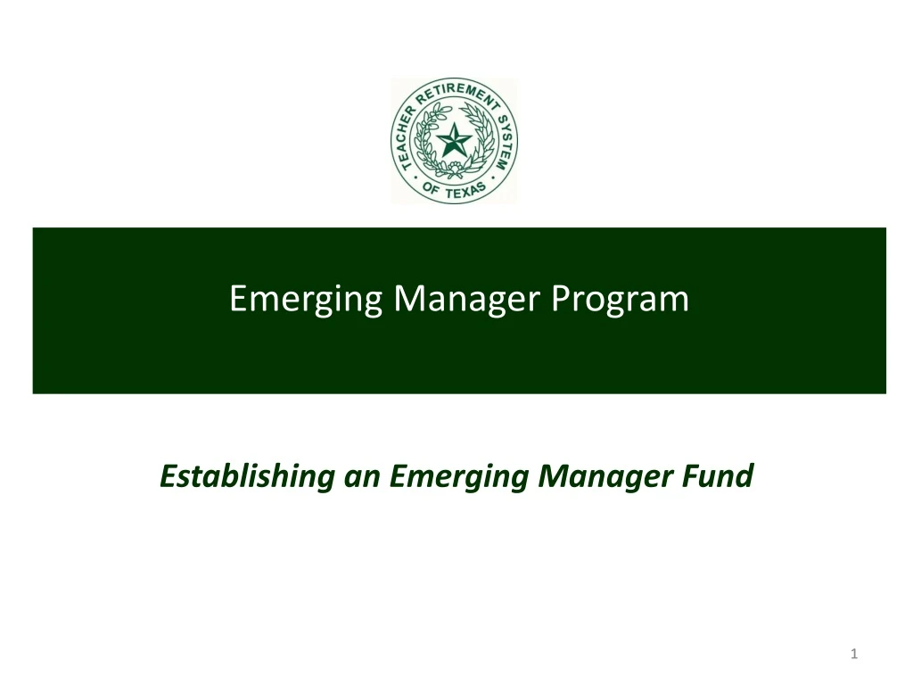 emerging manager program