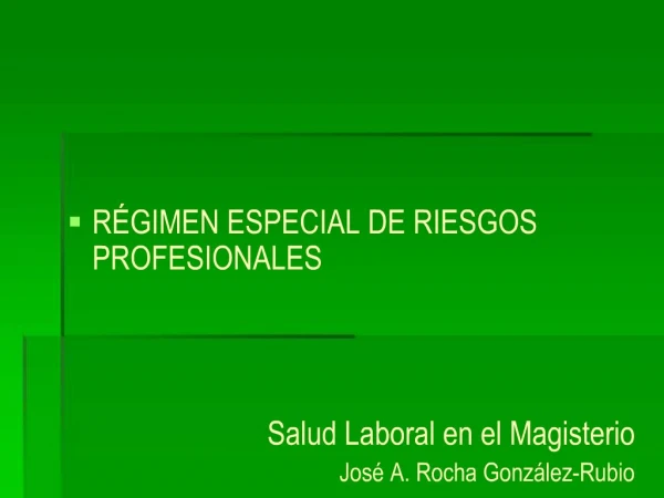 R GIMEN ESPECIAL DE RIESGOS PROFESIONALES Salud Laboral en el Magisterio Jos A. Rocha Gonz lez-Rubio