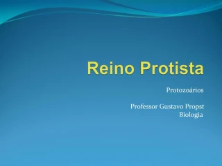 Reino Protista - slide 1